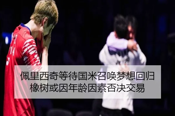 佩里西奇等待国米召唤梦想回归 橡树或因年龄因素否决交易